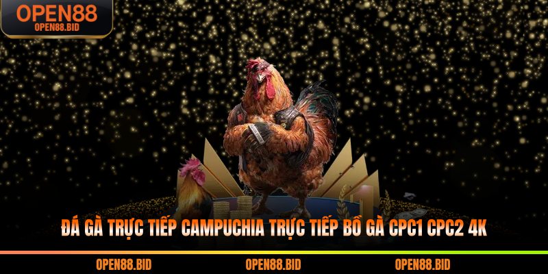 đá gà trực tiếp campuchia