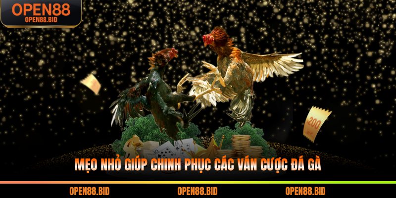 Mẹo nhỏ giúp chinh phục các ván cược đá gà