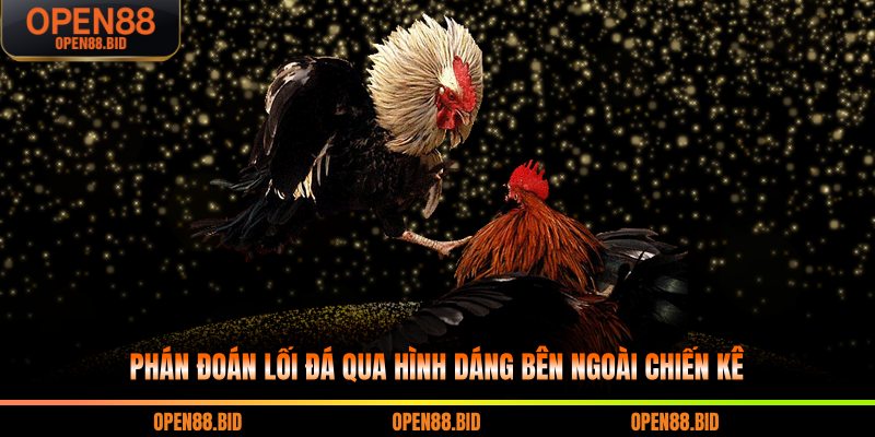 Phán đoán lối đá qua hình dáng bên ngoài chiến kê