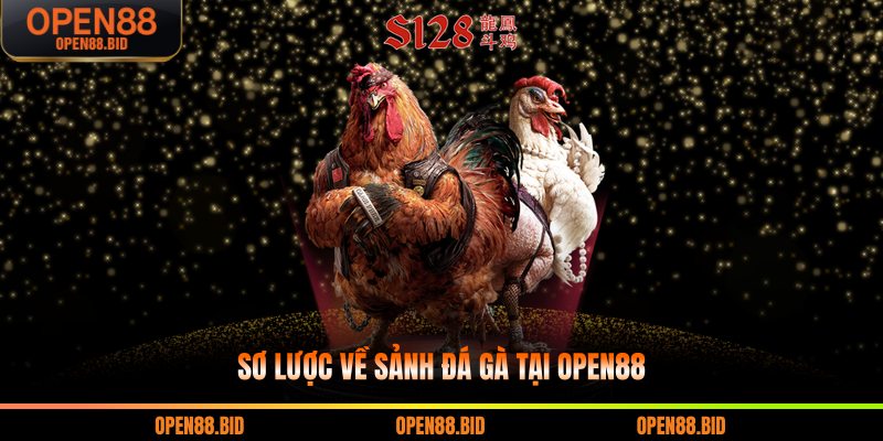 Sơ lược về sảnh đá gà tại Open88