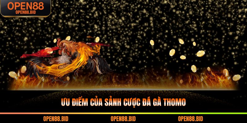 Ưu điểm của sảnh cược đá gà Thomo